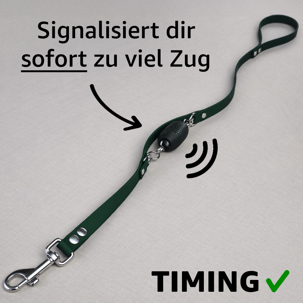 Trainerleine Biothane