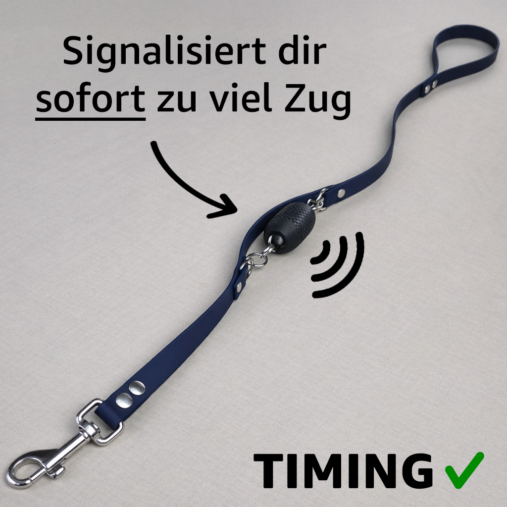 Trainerleine Biothane