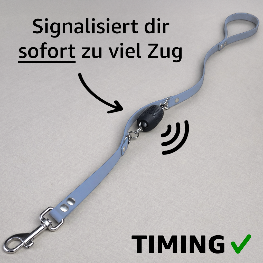 Trainerleine Biothane