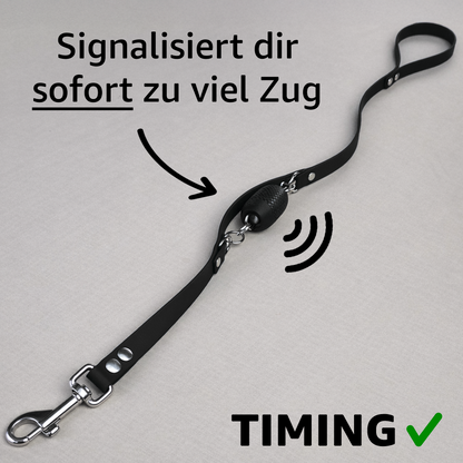 Trainerleine Biothane