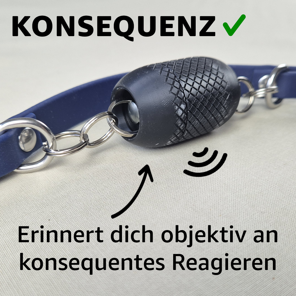 Trainerleine Biothane