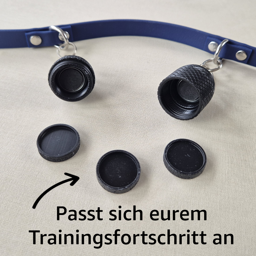 Trainerleine Biothane