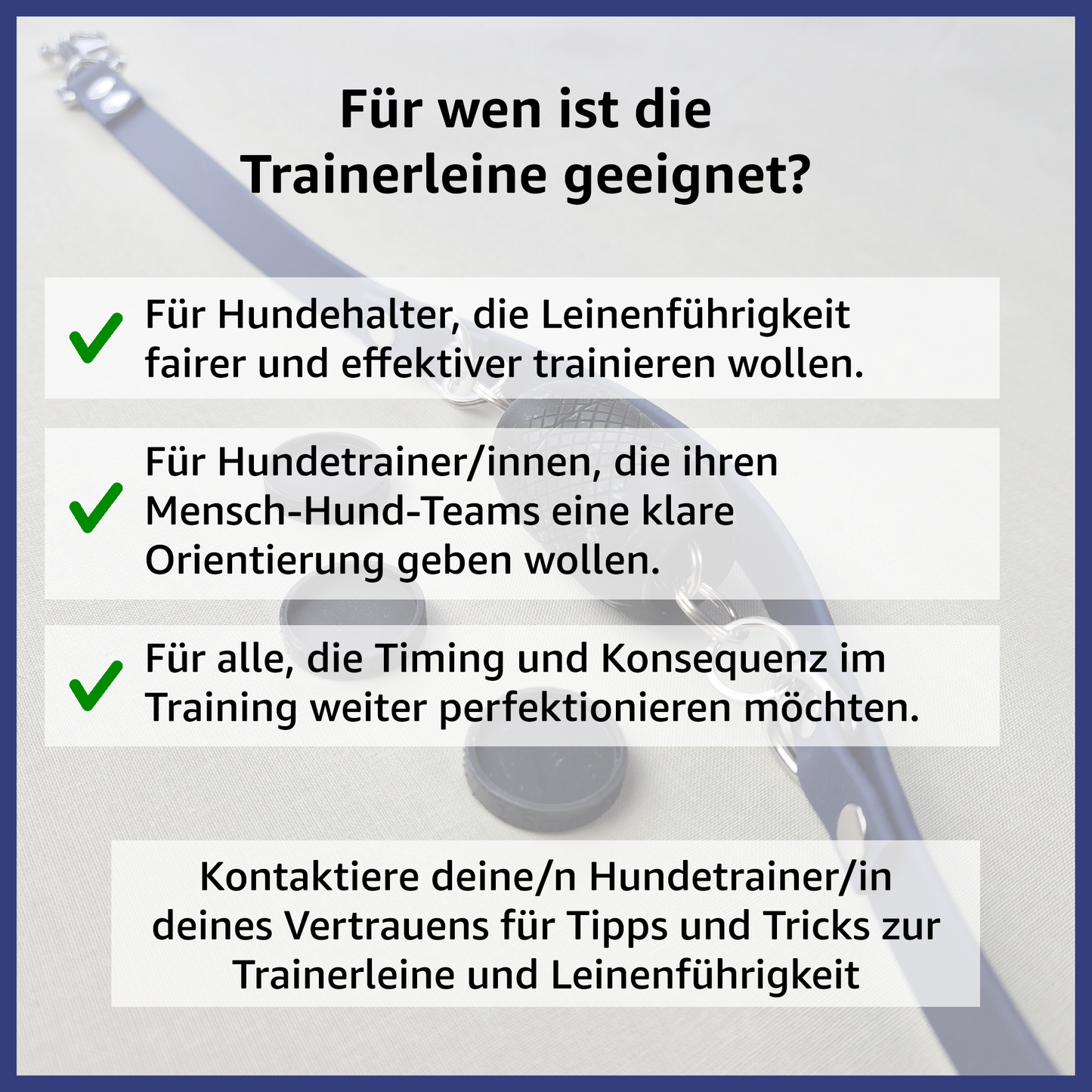 Trainerleine Biothane